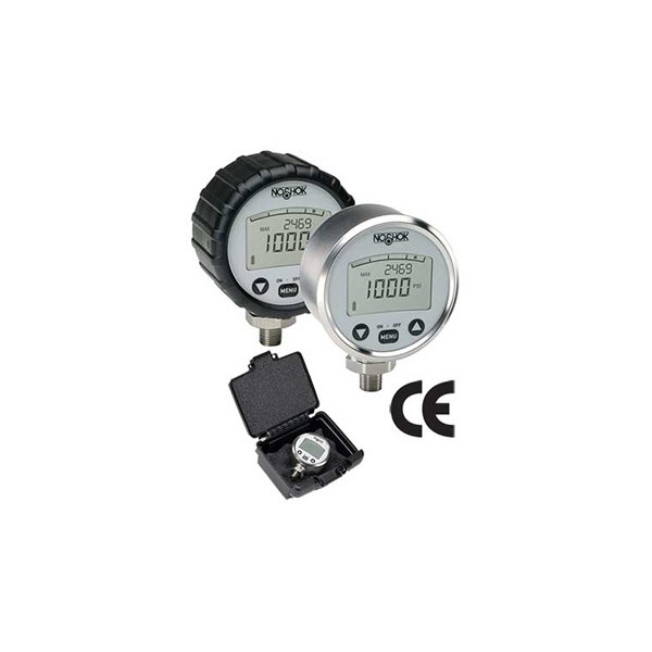 Series Digital Pressure Gauges