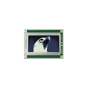 Graphic LCD Modules