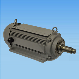 Special Purpose Motors（Fully closed type）
